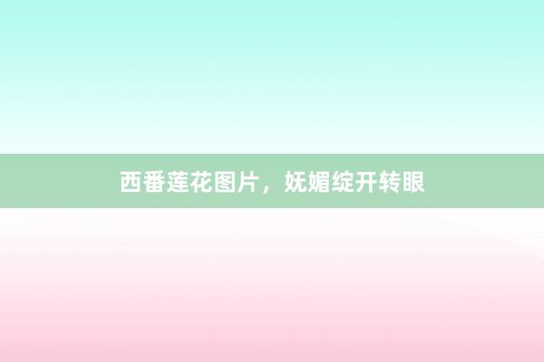 西番莲花图片，妩媚绽开转眼
