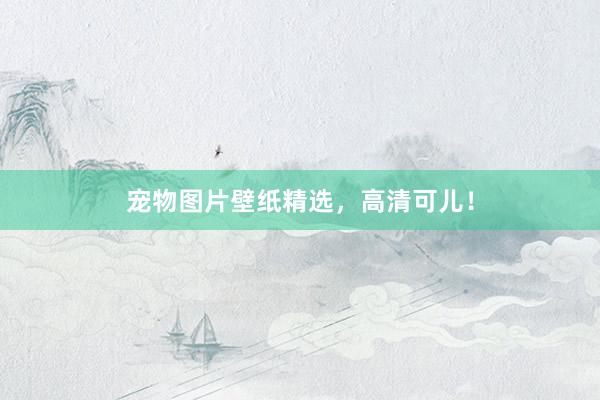 宠物图片壁纸精选，高清可儿！