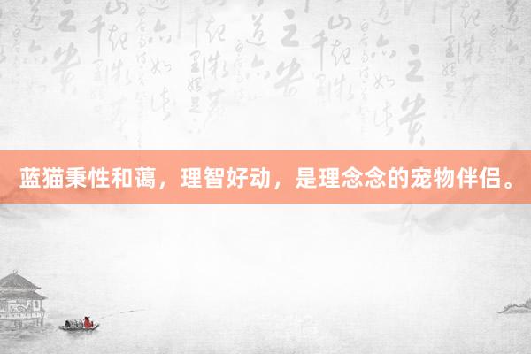 蓝猫秉性和蔼，理智好动，是理念念的宠物伴侣。